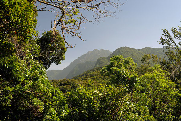 Tres Picos, an interesting place for salamanders as well.