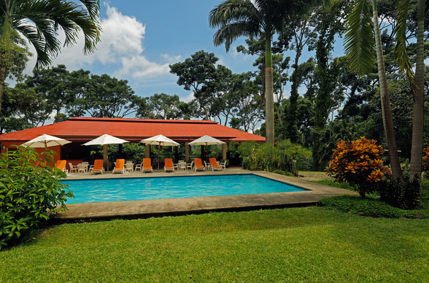 The swimming pool at Finca Argovia is great for birding.