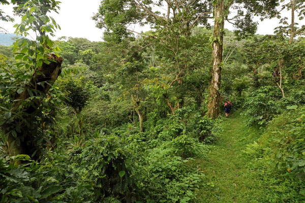 Joachim descending the steep slopes into the streambed.