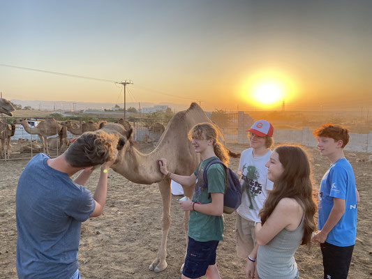 While some students were content just milking a camel, others felt like they wanted more out of the experience.