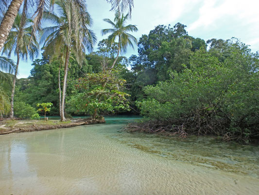 I spent the whole afternoon exploring the canals, mangroves and tiny beaches.