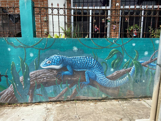 Abronia streetart