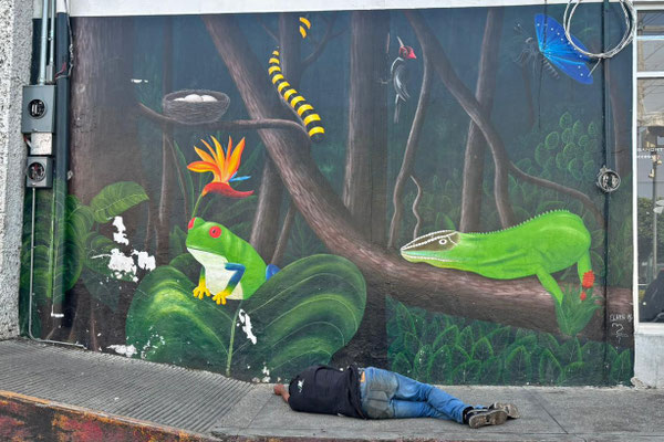Cool mural with multiple species we saw during our stay. Hombre borracho as a bonus.