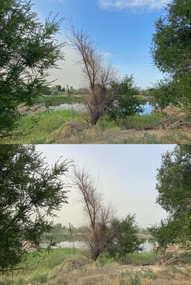 Incoming duststorm! In the first picture flocks of birds, attempting to flee from the storm, are visible.