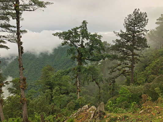 The view from this mountainpeak is absolutely fantastic. 