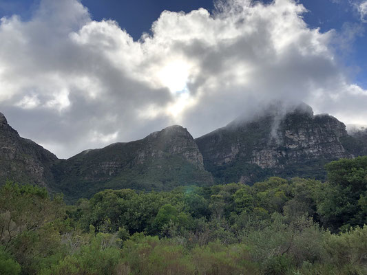 View on the eastern flanks of Table Mountain. 