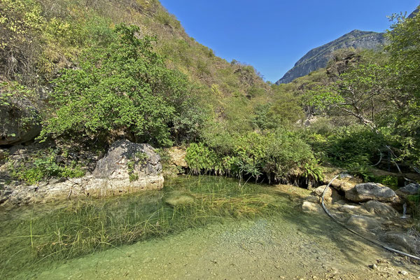 Sadly many of these pools were being drained by local farmers and the water levels should be much higher.