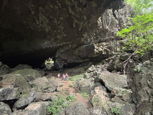 At night we explored this cave as well and found many interesting species.