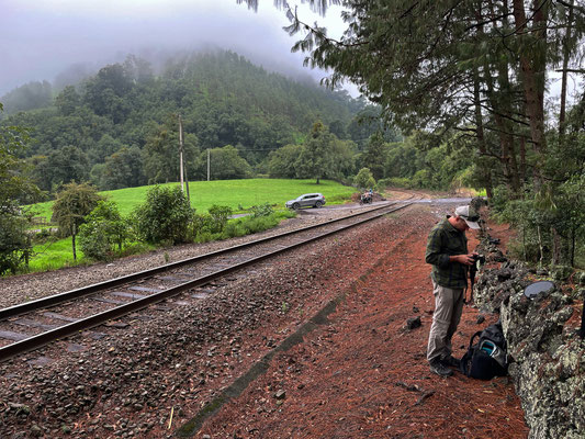 Wouter preparing to photograph some of our finds along a railroad. 