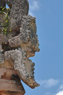 Close-up of the human head inside the crocodile's jaws.