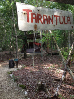 Our tent at Yaax Che campsite.