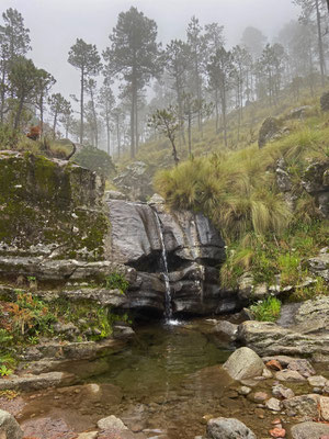 Beautiful streams along the way.