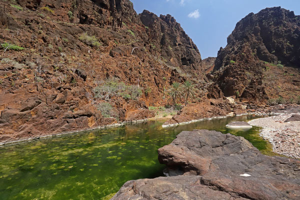 Wadi Dirhur