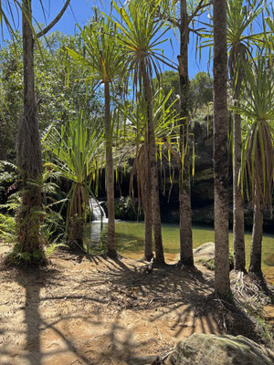 The stunning natural pool at Isalo NP.