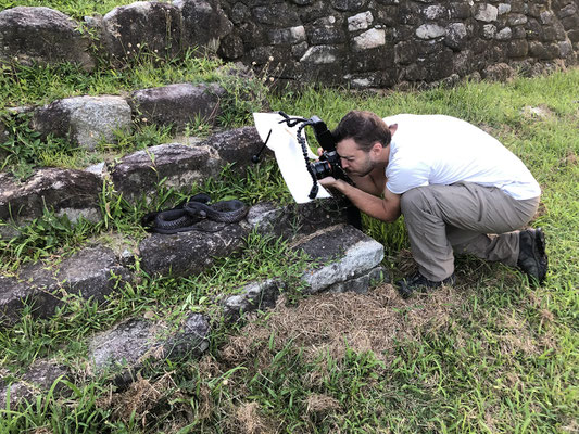 Wouter photographing this big, black beauty.