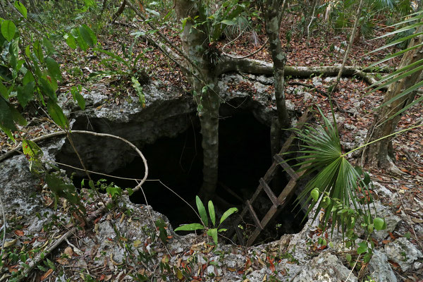 Secret Cenote