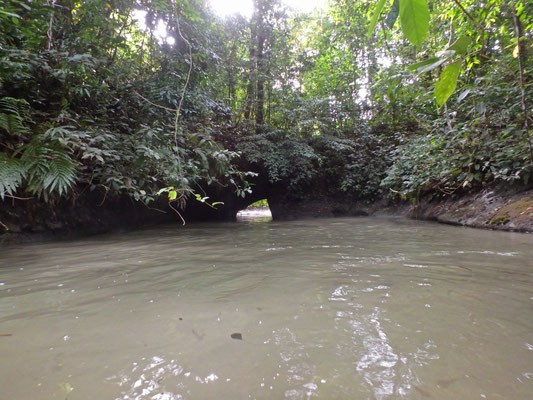 At night we observed waves coming through this tiny opening. Very strange to find a sandy beach in the middle of the jungle! At daytime I crawled through to see what is on the other end. 