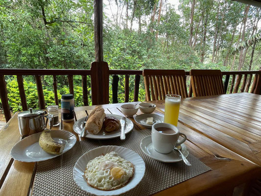 Breakfast at our lodge with a serenade of Indri every day. 