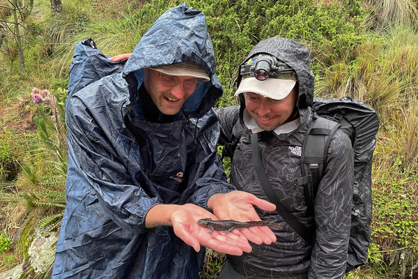 Happy biologists admiring Leora's Stream Salamander.