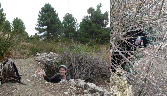 Then and now. This time more thorny shrubs and less toads.