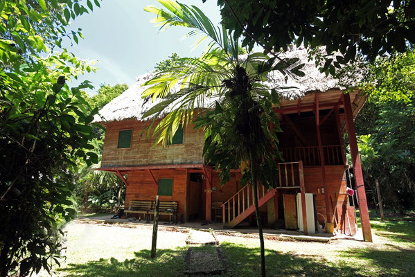 The fieldstation. 