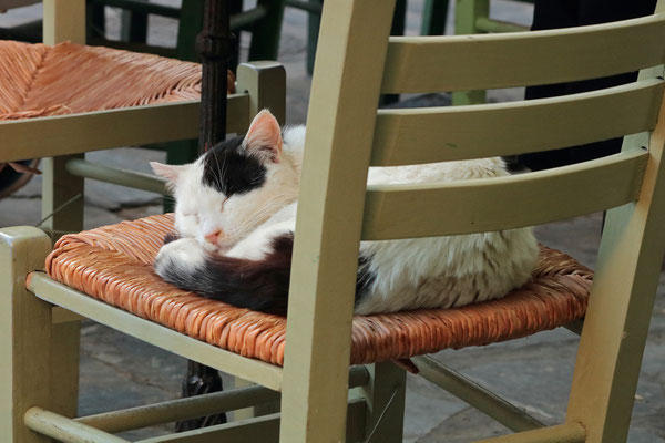 The town of Chora is home to many cats like every town in Greece. 