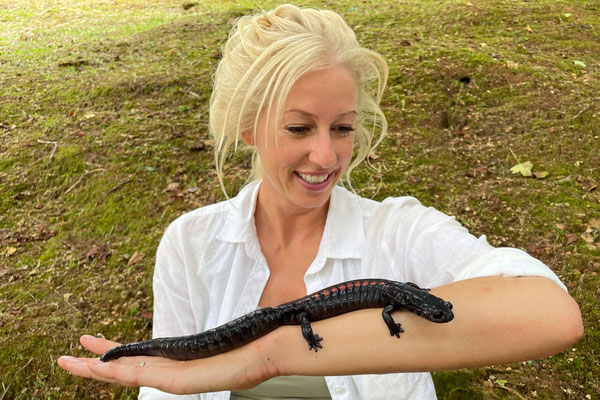 Laura showing the immense size of this beautiful (and probably old) salamander.