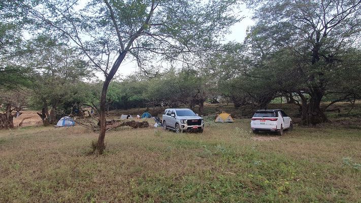 Our camp in a secluded part of the wadi. © Jack Kauw