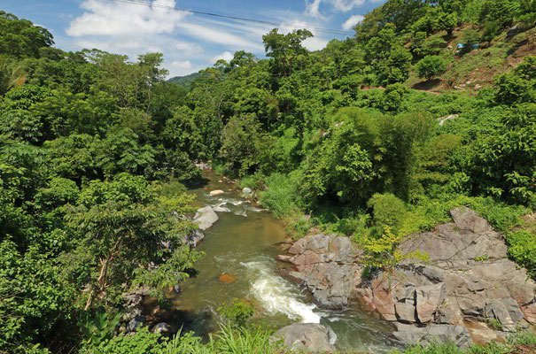 From over 3000m absl to lowland rainforest, our camera lenses had a hard time here. 