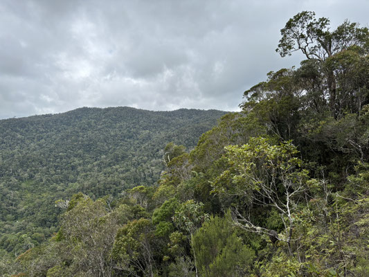 View over Maromizaha.
