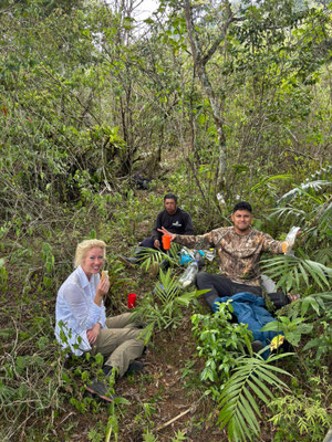 Lunchbreak on the forest floor.