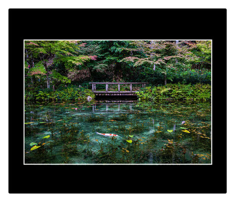 Monet no ike, Seki, província de Gifu.