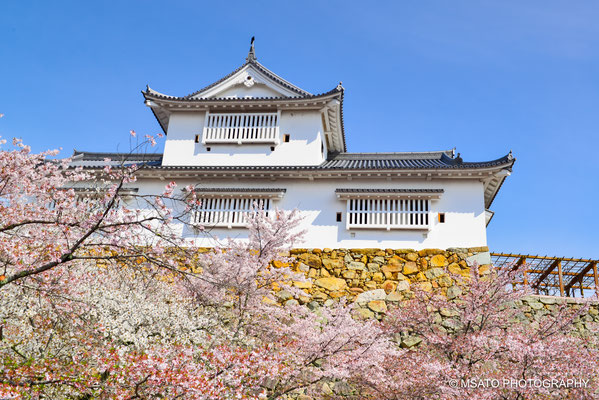 33 - Província de OKAYAMA. Castelo de Tsuyama. Dentro do parque Kakuzan, na cidade de Tsuyama, temos as ruínas do castelo de Tsuyama. O que impressiona aqui são os paredões de pedra e as milhares de cerejeira, na primavera o visual é de tirar o fôlego.