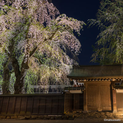 4 - Província de AKITA. Portão de uma casa de samurai. A cidade de Kakunodate é conhecida como a pequena Kyoto de Tohoku e sua característica principal são as casas dos samurais que viveram aqui antigamente.