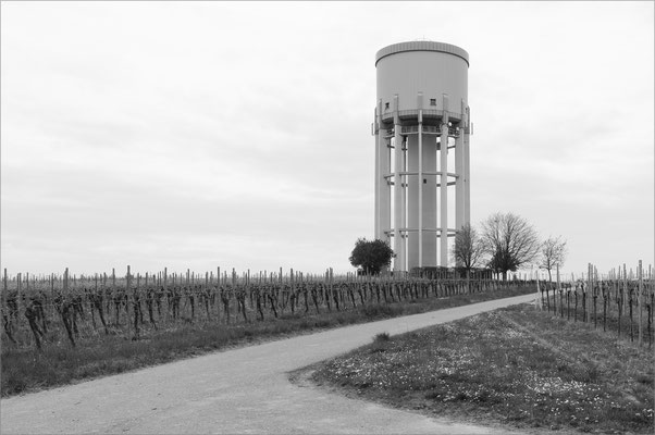 Neustadt adW-Duttweiler / RLP