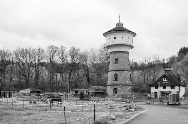 Dhronecken, Hirtenweg / RLP