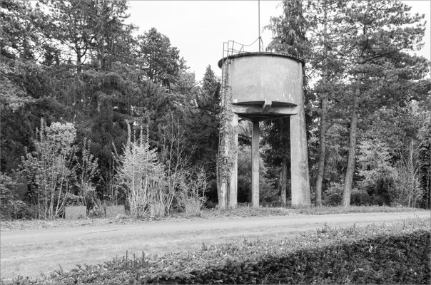Saarbrücken, Hauptfriedhof / SAL