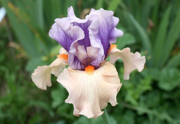 RDY46-B :   SECRET PARTNER X ROLE REVERSAL