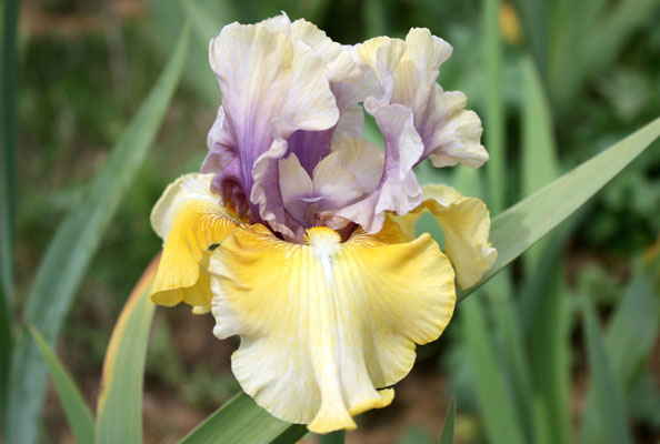 RDY46-A :   SECRET PARTNER X ROLE REVERSAL