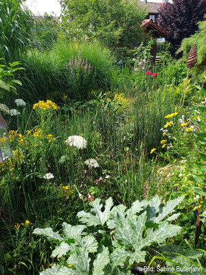 Garten Impression