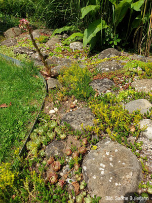 Garten Impression