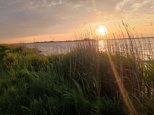 Sonnenuntergang am Bodden südl. der Darss Halbinsel