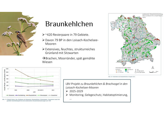 Folie aus dem Vortrag von Verena Rupprecht