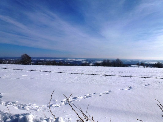 Fernsicht-bauernhofurlaub eifel