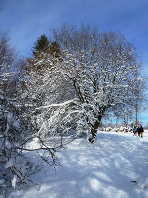 Bauernhof-Winter