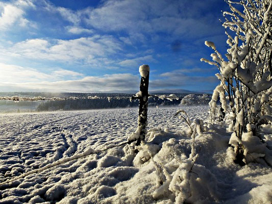 wintervergnügen urlaub auf dem bauernhof eifel