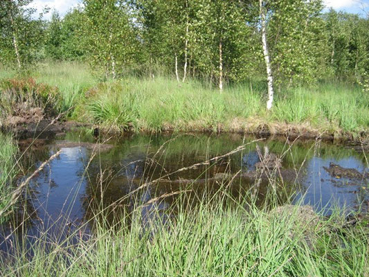 Bauernhof - Hohes Venn