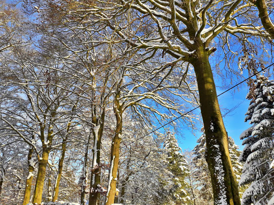 eifel urlaub im schnee