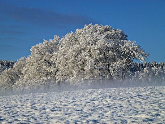 bauernhofurlaub eifel im winter