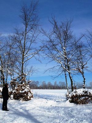 Bauernhof nrw-Winter